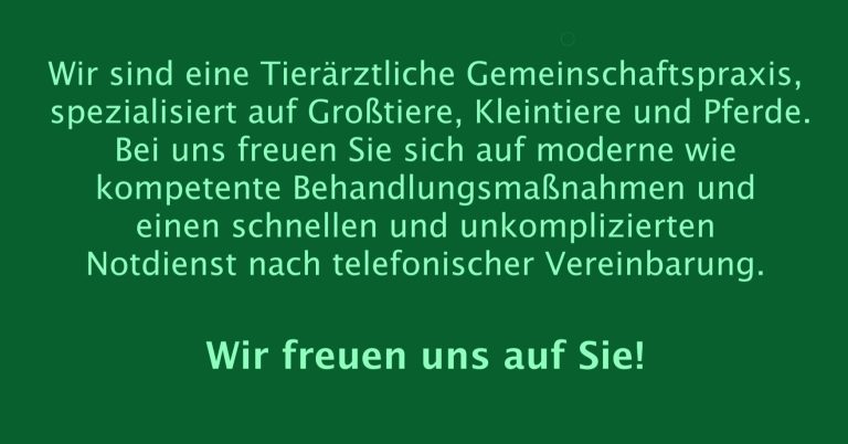 Leistungen der Tierarztpraxis Walsrode, Bomlitz und Visselhövede Infotext Tierärztliche Gemeinschaftspraxis Rabe Söchting